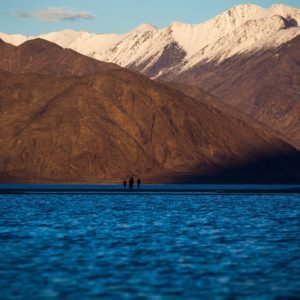 leh ladakh pangong tso