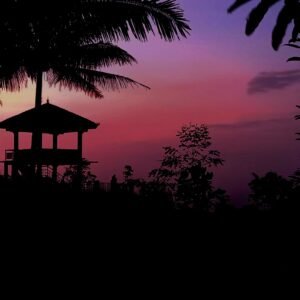 goa