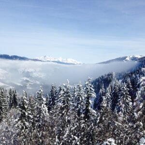 Dharamshala and Dalhousie