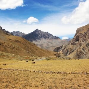 Leh Ladakh Bike Trip | Leh ladakh Trip
