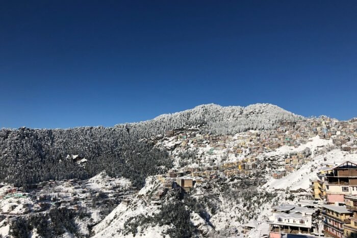 Shimla