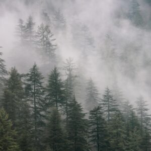 Manali Kasol