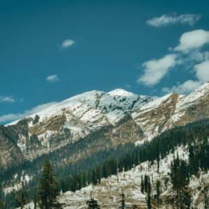 manali kasol honeymoon package
