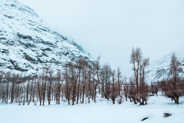 Manali