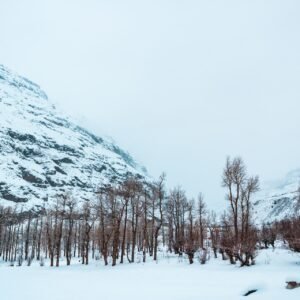 Manali Sissu Tour Package
