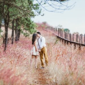 Manali Honeymoon Package